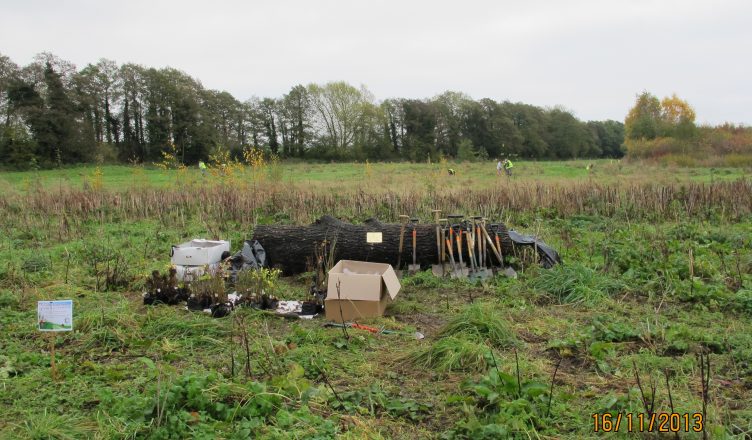 Extending Jubilee Wood November 2013