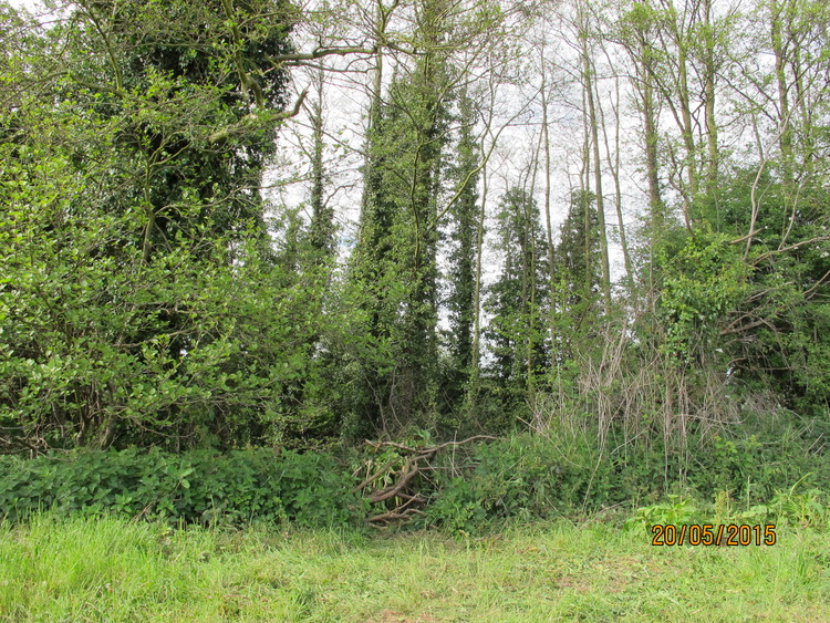 Can You See A Hibernacula?