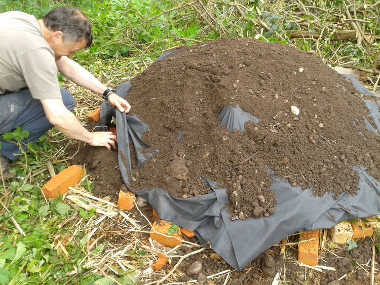 Adding soil to encourage plants to grow over