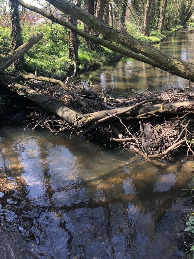 Deep pools in Moat Brook