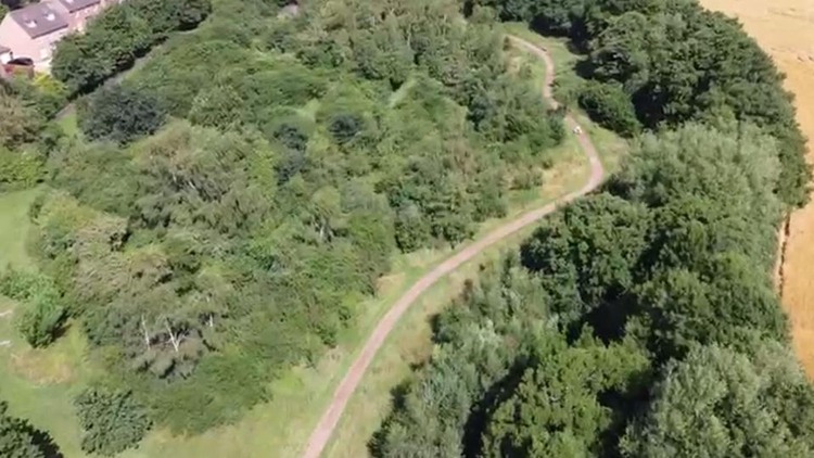 20230709 Jubilee Wood 2 1