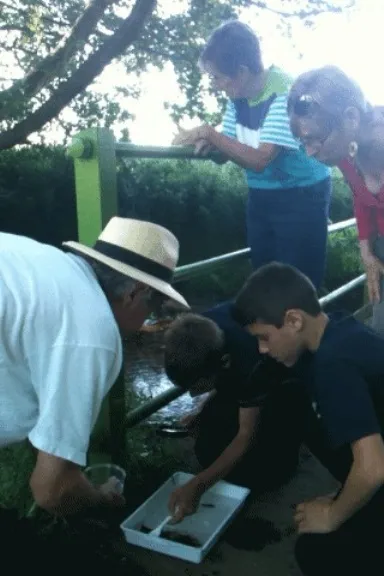 Pond Dip 1